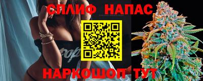 дмт Гусев