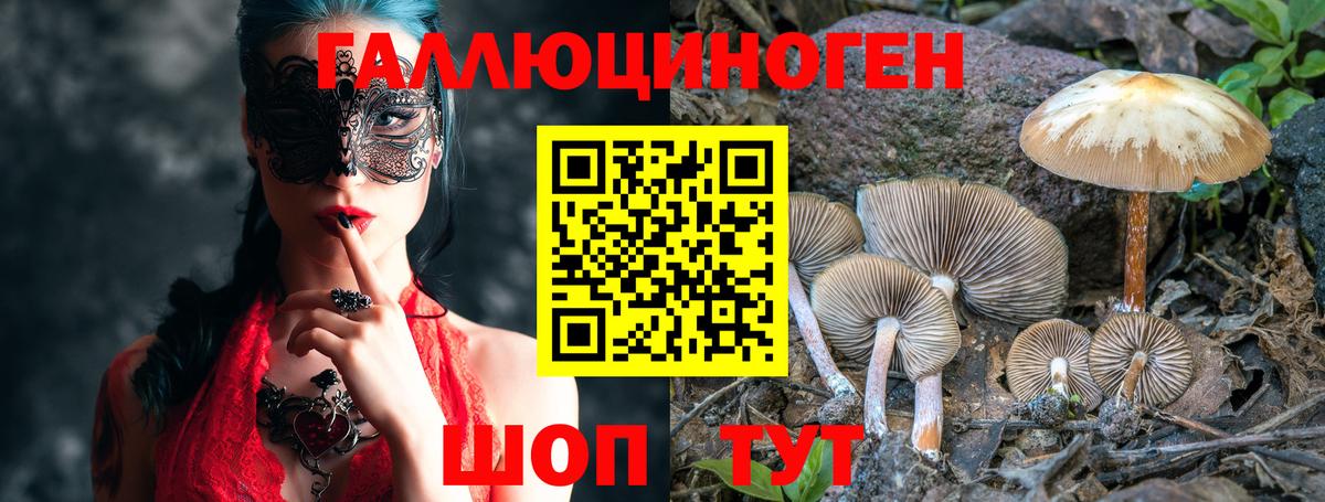 Галлюциногенные грибы Magic Shrooms  Вход с VPN  Ейск 